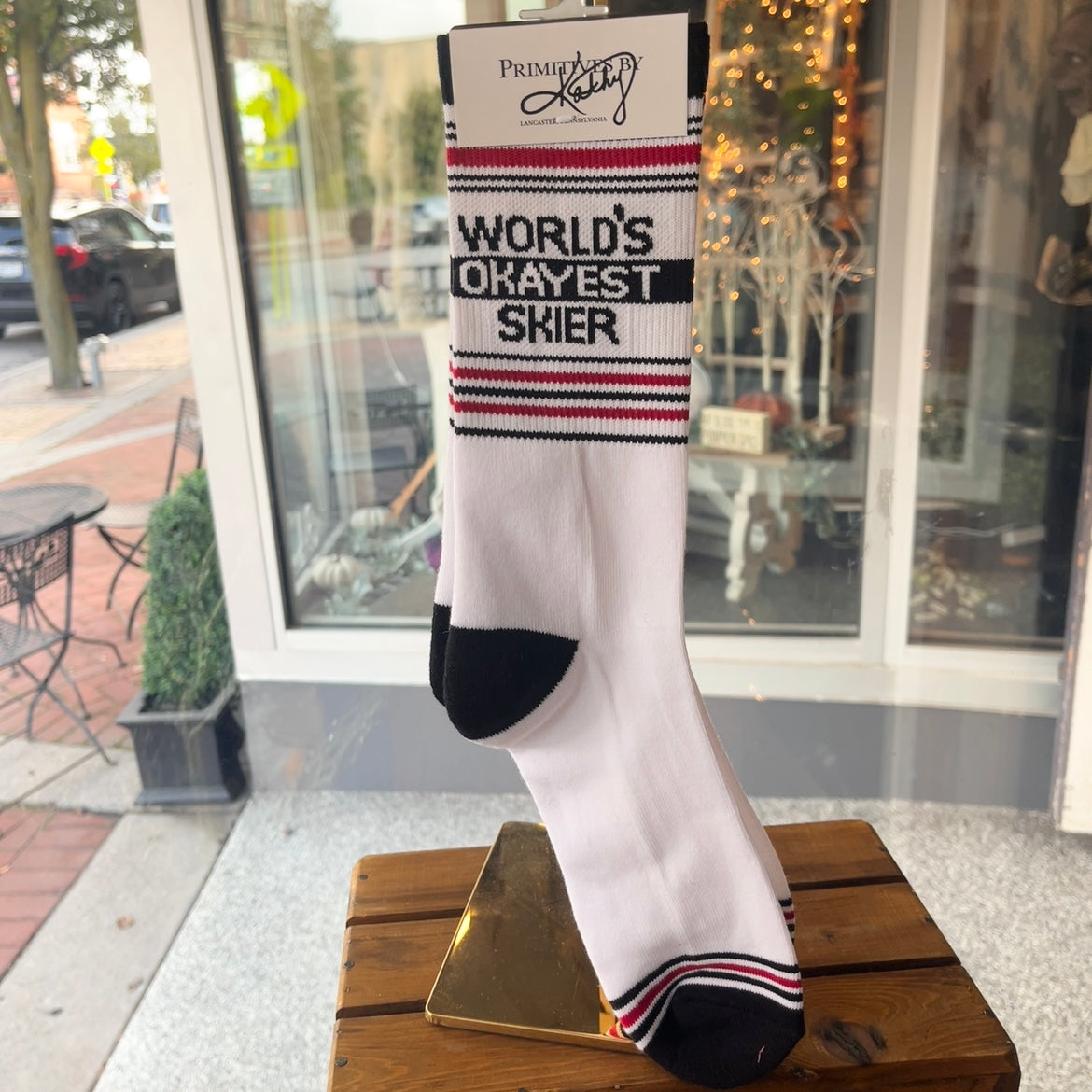 World's Okayest Skier