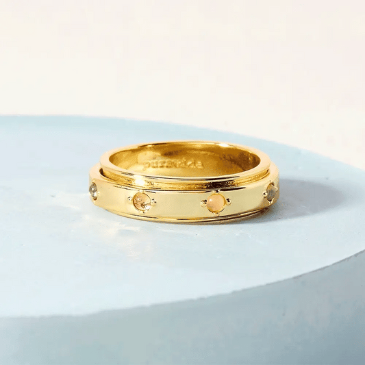 Mental Health Fidget Ring